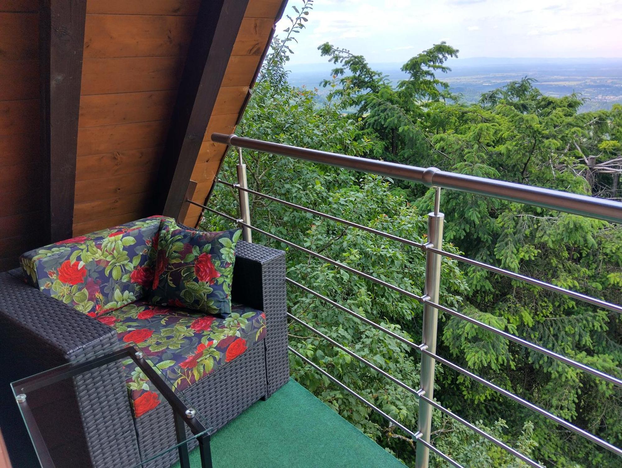 Apartmán Haus "Guck - Ins - Tal" Sasbachwalden Exteriér fotografie