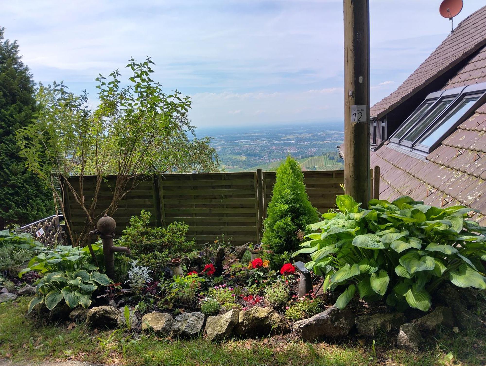 Apartmán Haus "Guck - Ins - Tal" Sasbachwalden Exteriér fotografie