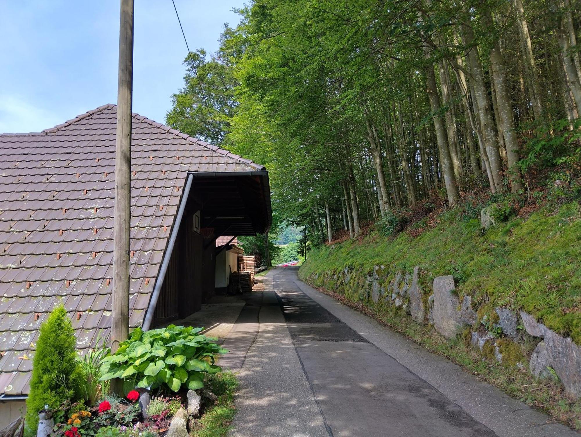Apartmán Haus "Guck - Ins - Tal" Sasbachwalden Exteriér fotografie