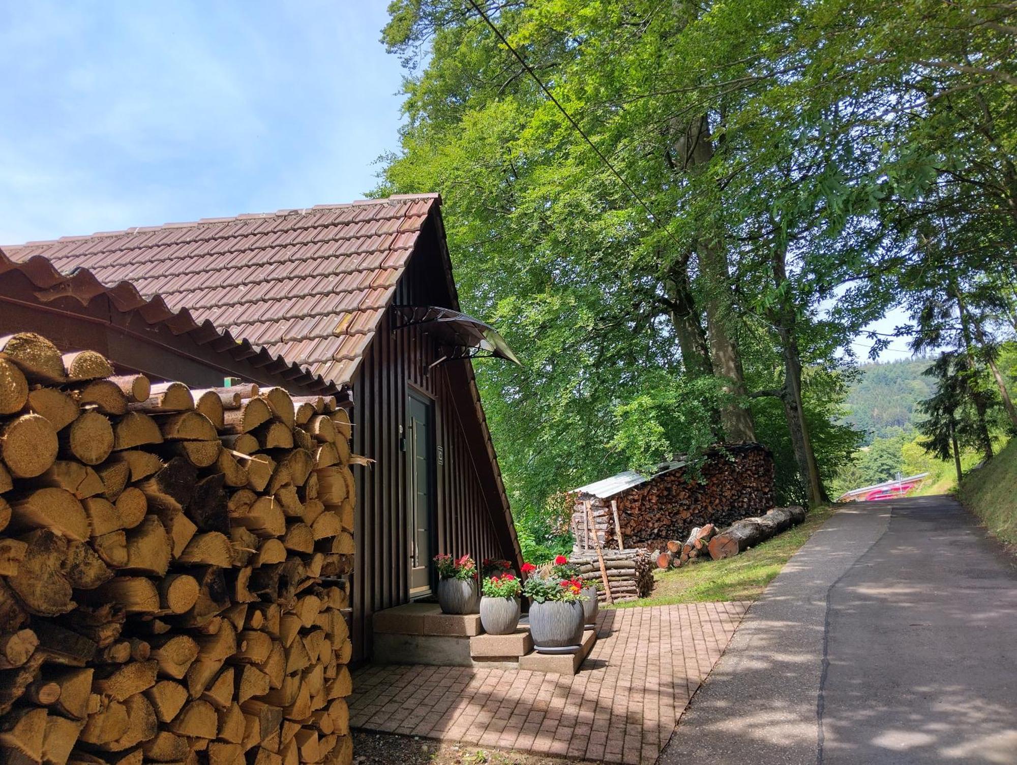 Apartmán Haus "Guck - Ins - Tal" Sasbachwalden Exteriér fotografie