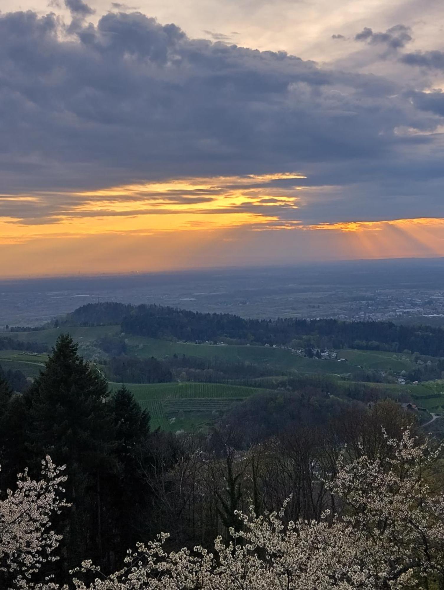 Apartmán Haus "Guck - Ins - Tal" Sasbachwalden Exteriér fotografie
